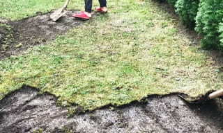 Снятие дерна старого газона в Королев – от 524 руб. | ИП Садыков В. Р.
